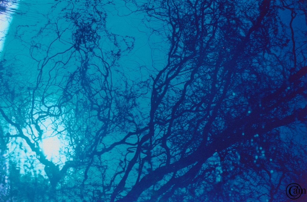 Natur,spiegelung,blau