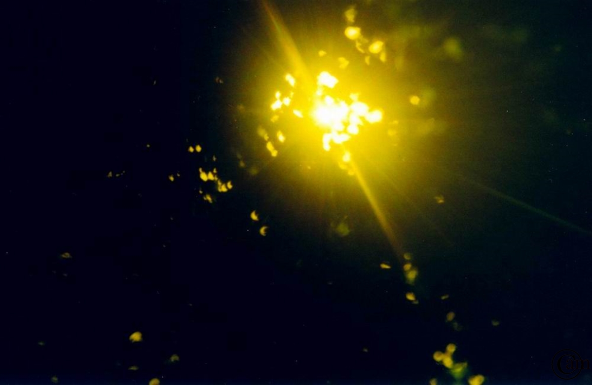 n-Sonne--gelb