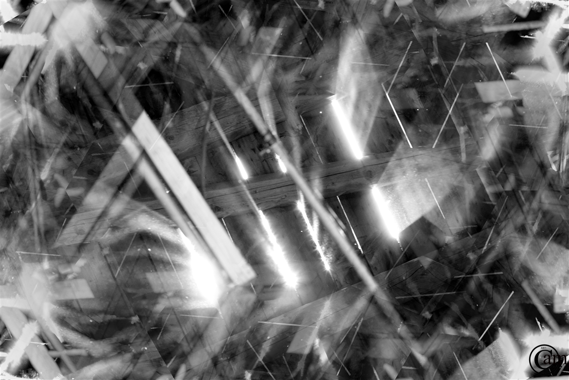 _CAM1483--
