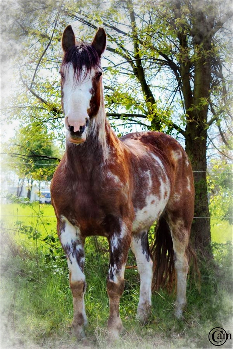 Natur 2