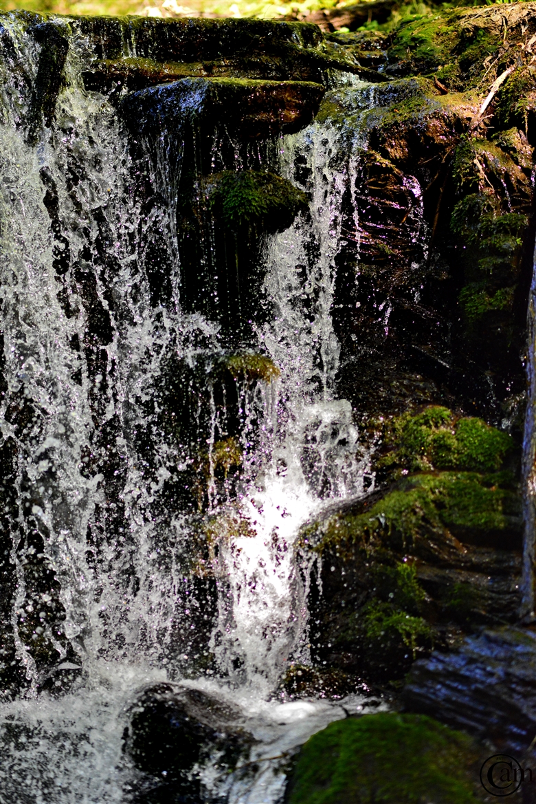_CAM2128