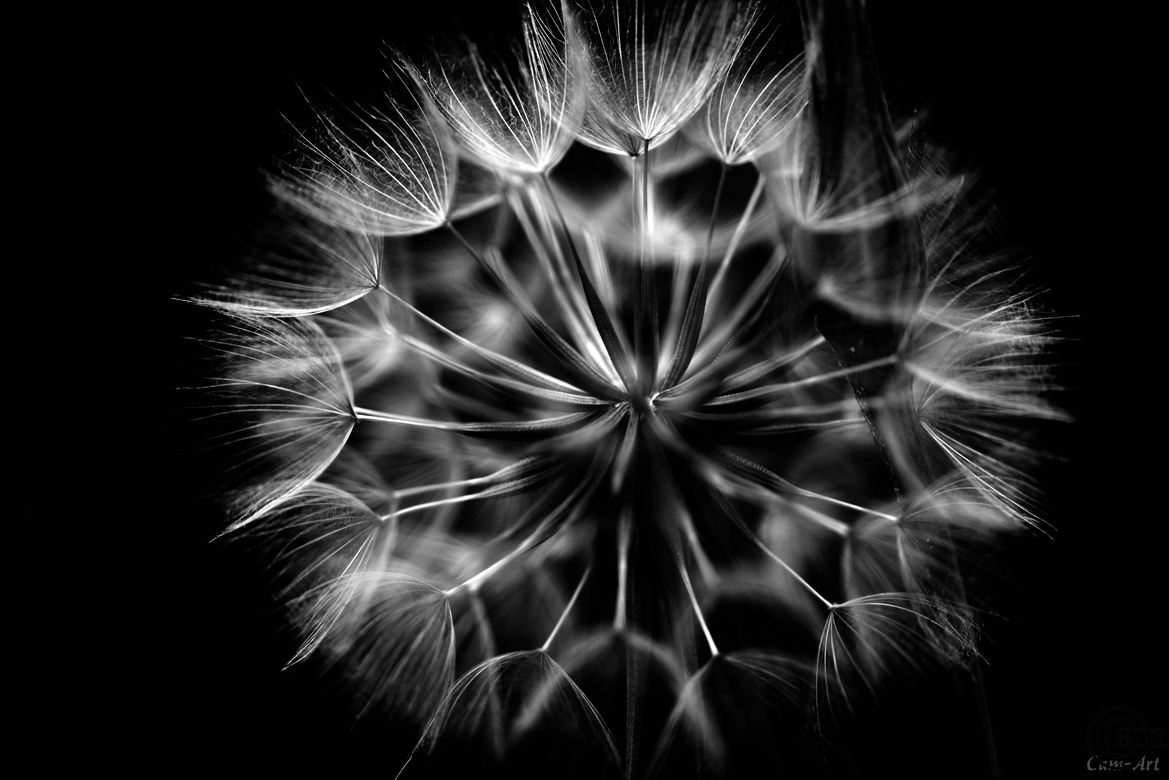_CAM3179-2-1