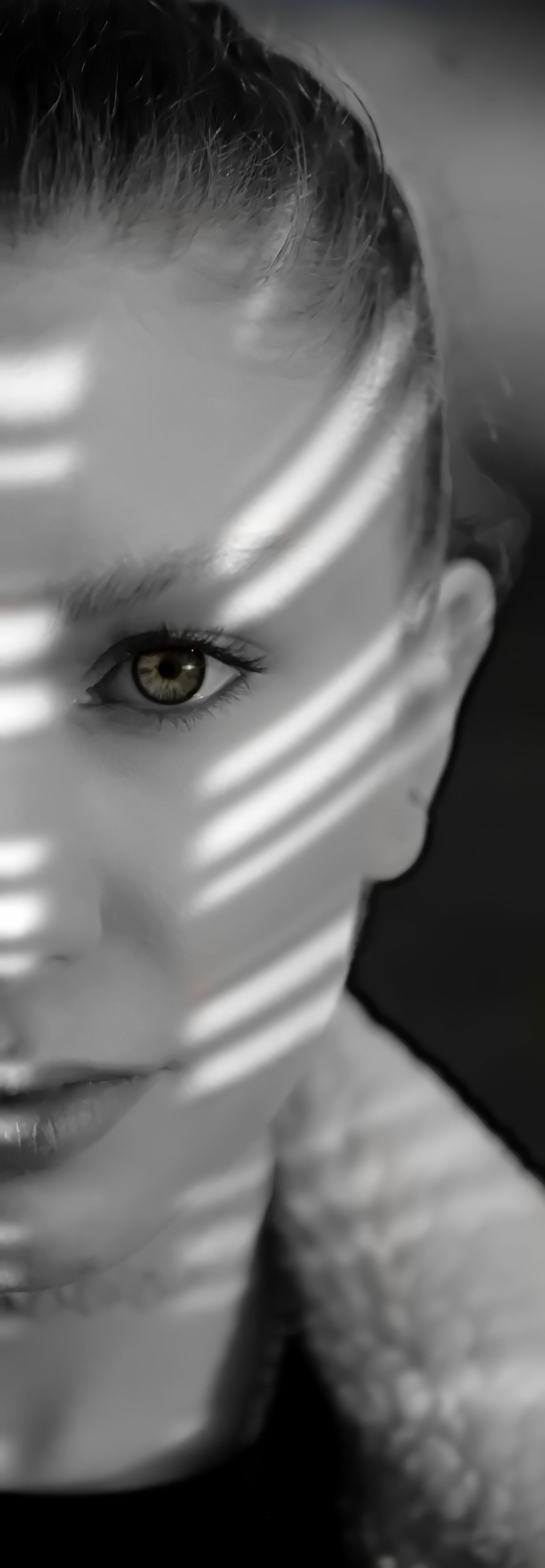 CAM_8445_00011_pplöö