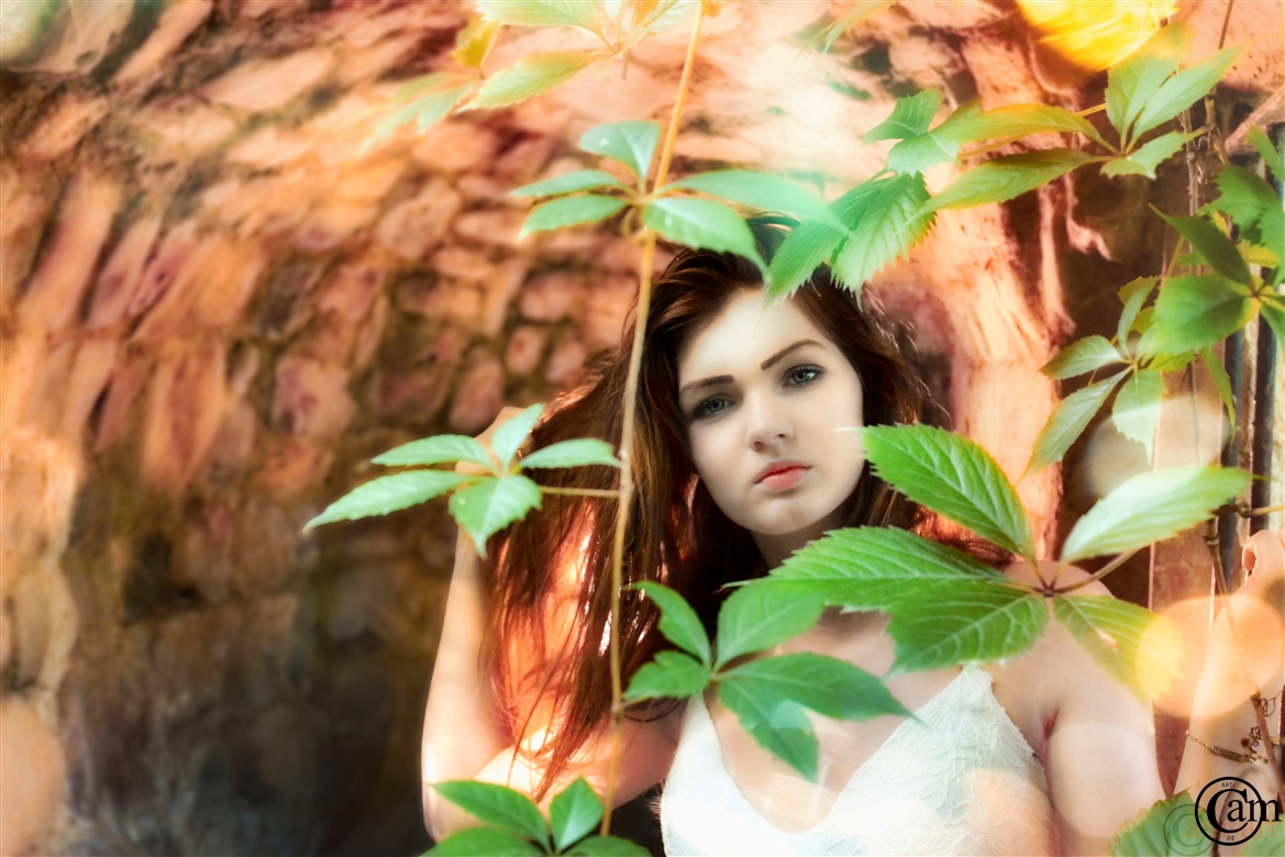 CAM_9687-2